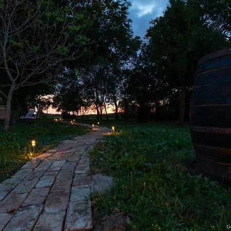 Pannonia Terranova Ξενοδοχείο Vardarac Εξωτερικό φωτογραφία