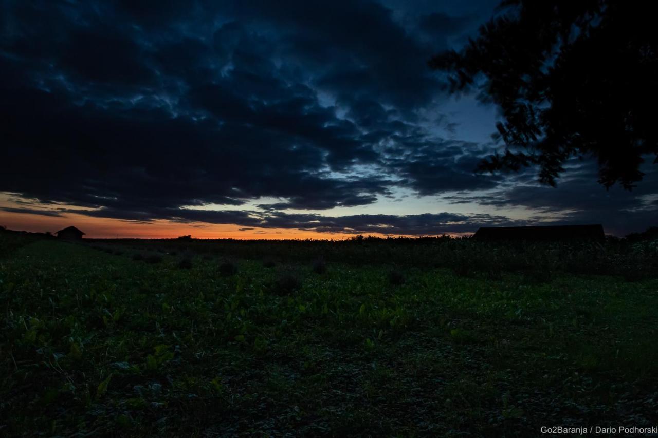 Pannonia Terranova Ξενοδοχείο Vardarac Εξωτερικό φωτογραφία