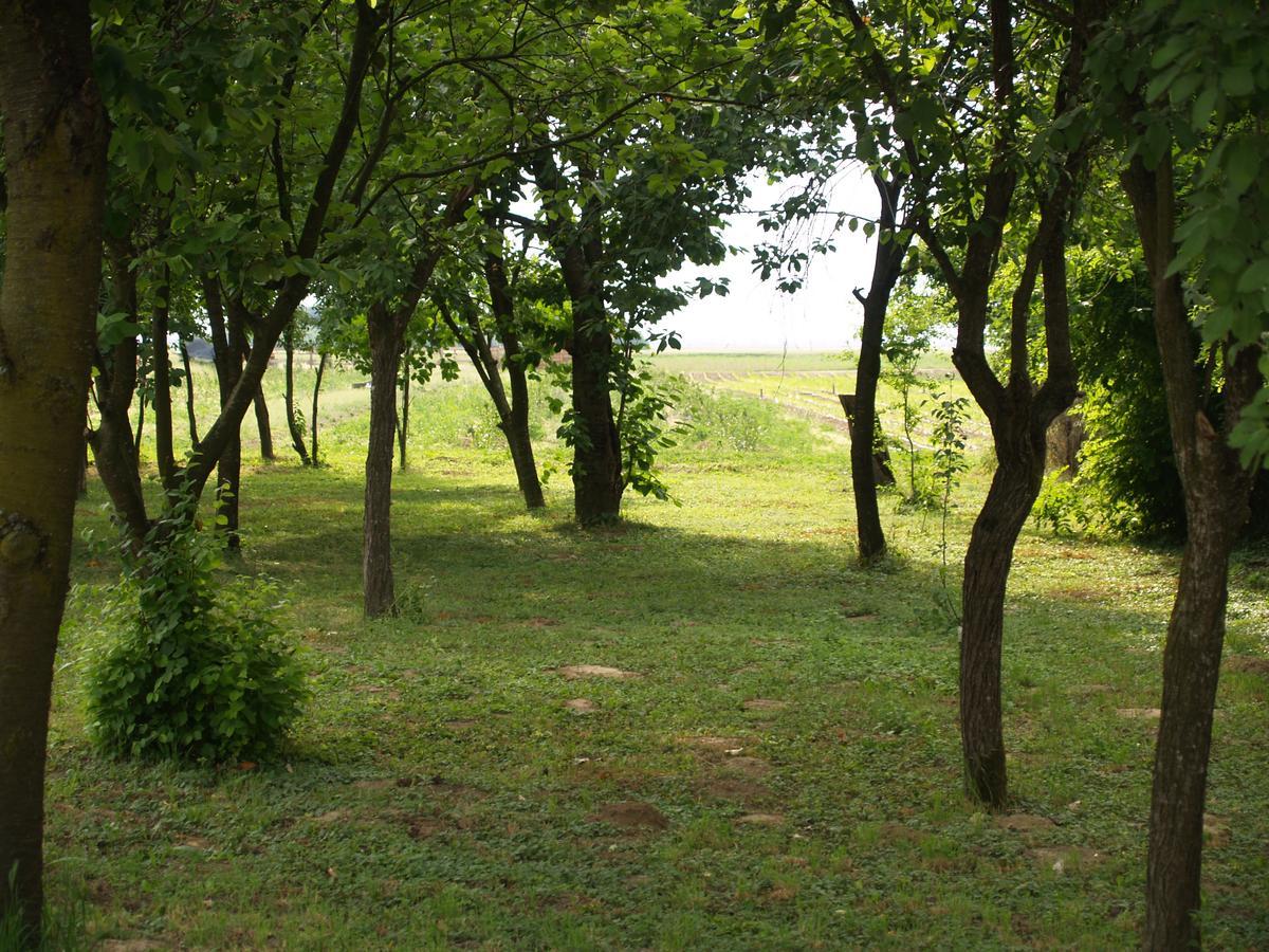 Pannonia Terranova Ξενοδοχείο Vardarac Εξωτερικό φωτογραφία